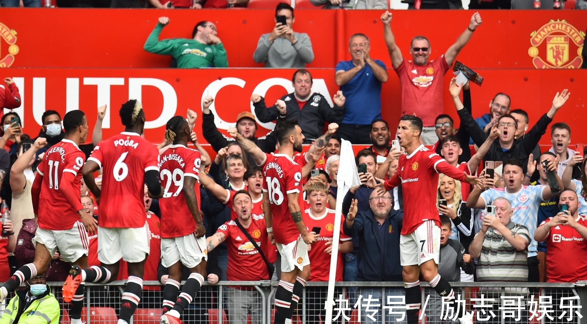 50吨植物油精炼设备