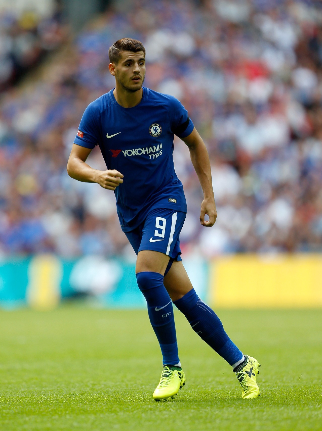 动物油熬炼设备